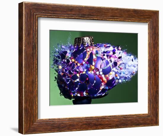 Christmas Surprise-Alan Sailer-Framed Photographic Print