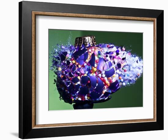 Christmas Surprise-Alan Sailer-Framed Photographic Print