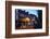 Christmas Tree and Market Place at Dusk-Mark Sunderland-Framed Photographic Print