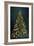 Christmas Tree at Night-Cora Niele-Framed Giclee Print