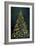 Christmas Tree at Night-Cora Niele-Framed Giclee Print