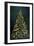 Christmas Tree at Night-Cora Niele-Framed Giclee Print