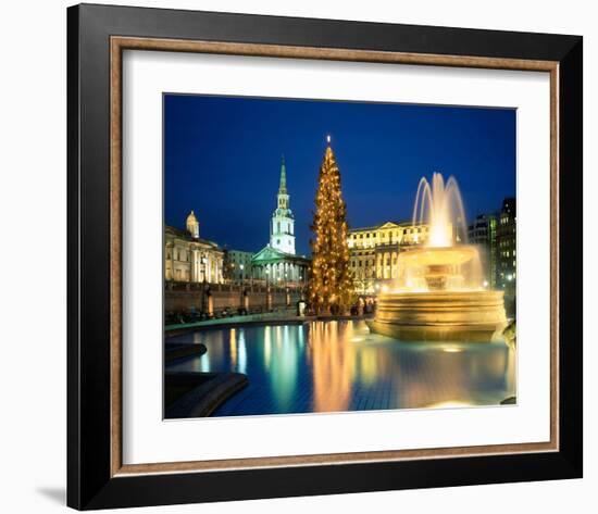 Christmas tree at Trafalgar Square, London, South England, Great Britain-null-Framed Art Print