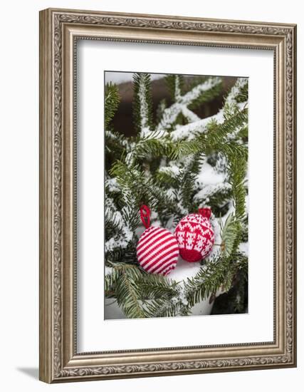 Christmas tree balls in the snow, decoration, still life-Andrea Haase-Framed Photographic Print