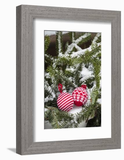 Christmas tree balls in the snow, decoration, still life-Andrea Haase-Framed Photographic Print