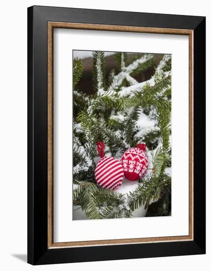 Christmas tree balls in the snow, decoration, still life-Andrea Haase-Framed Photographic Print