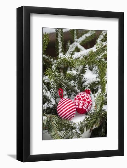 Christmas tree balls in the snow, decoration, still life-Andrea Haase-Framed Photographic Print