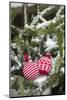 Christmas tree balls in the snow, decoration, still life-Andrea Haase-Mounted Photographic Print