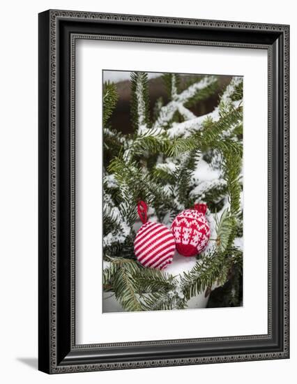 Christmas tree balls in the snow, decoration, still life-Andrea Haase-Framed Photographic Print