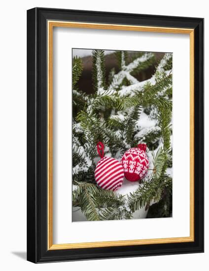 Christmas tree balls in the snow, decoration, still life-Andrea Haase-Framed Photographic Print