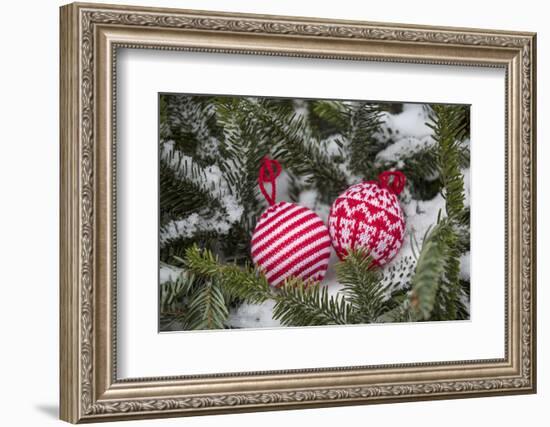 Christmas tree balls in the snow, decoration, still life-Andrea Haase-Framed Photographic Print