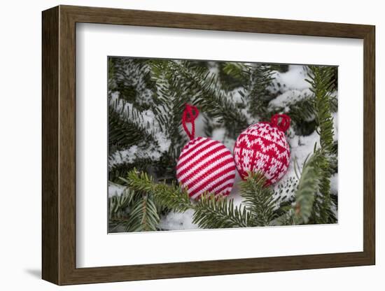 Christmas tree balls in the snow, decoration, still life-Andrea Haase-Framed Photographic Print