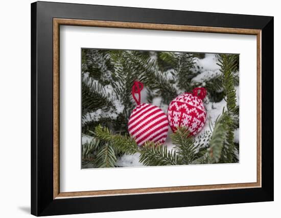 Christmas tree balls in the snow, decoration, still life-Andrea Haase-Framed Photographic Print