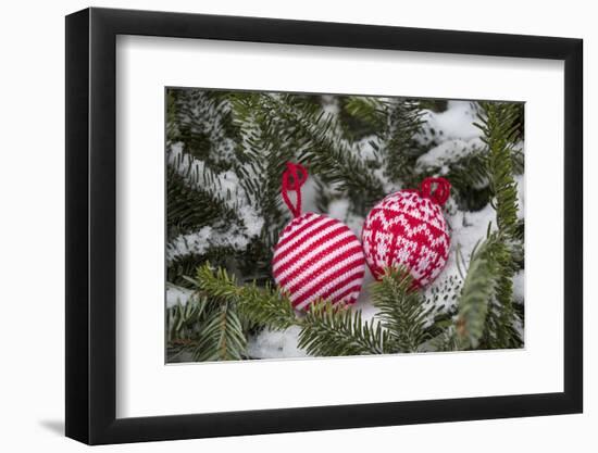 Christmas tree balls in the snow, decoration, still life-Andrea Haase-Framed Photographic Print