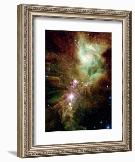 Christmas Tree Cluster-Stocktrek Images-Framed Photographic Print