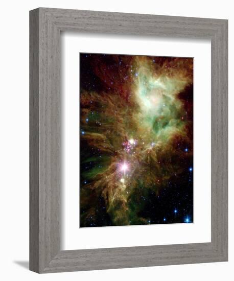 Christmas Tree Cluster-Stocktrek Images-Framed Photographic Print