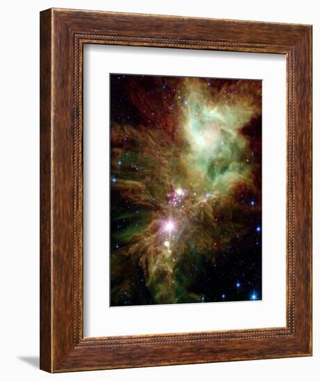 Christmas Tree Cluster-Stocktrek Images-Framed Photographic Print