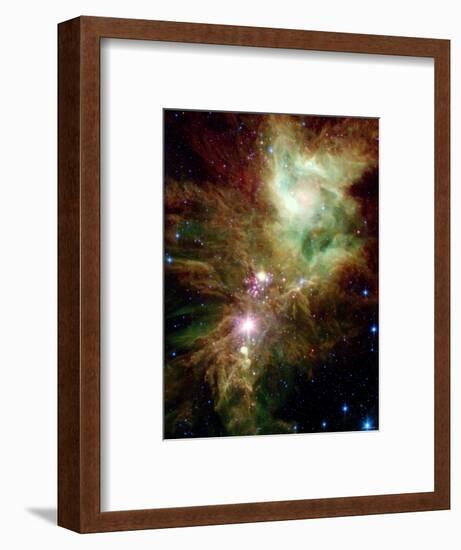 Christmas Tree Cluster-Stocktrek Images-Framed Photographic Print