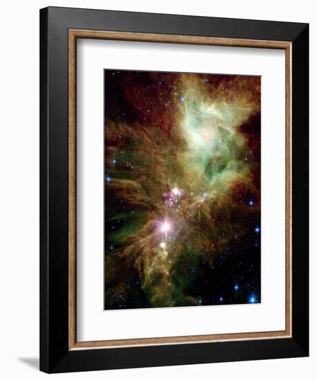 Christmas Tree Cluster-Stocktrek Images-Framed Photographic Print