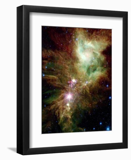 Christmas Tree Cluster-Stocktrek Images-Framed Photographic Print