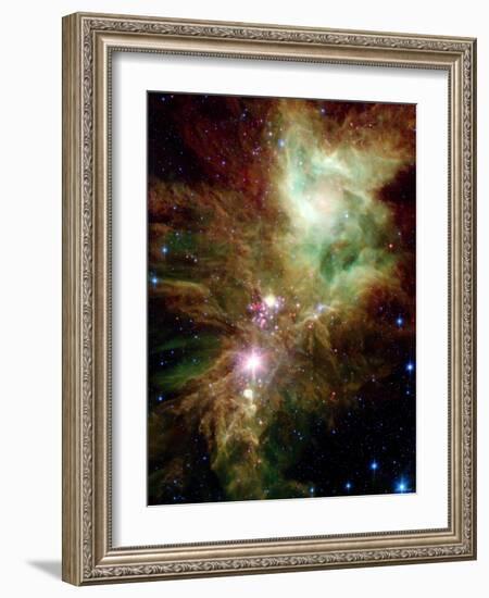 Christmas Tree Cluster-Stocktrek Images-Framed Photographic Print