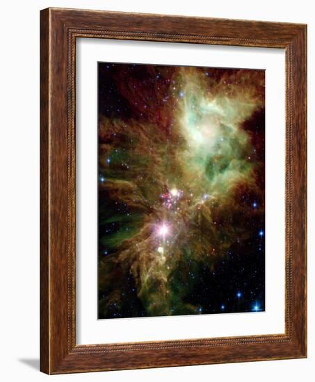 Christmas Tree Cluster-Stocktrek Images-Framed Photographic Print