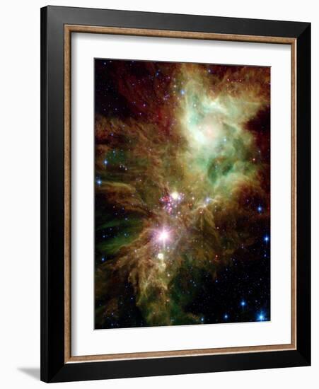 Christmas Tree Cluster-Stocktrek Images-Framed Photographic Print