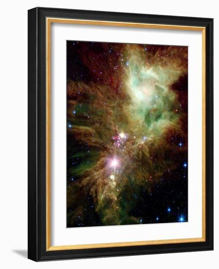 Christmas Tree Cluster-Stocktrek Images-Framed Photographic Print