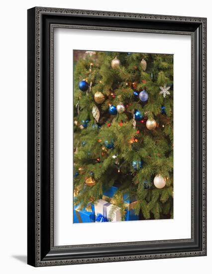 Christmas tree decorations-Stuart Westmorland-Framed Photographic Print