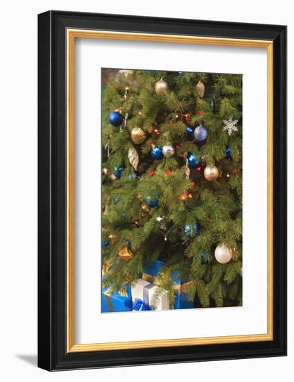 Christmas tree decorations-Stuart Westmorland-Framed Photographic Print