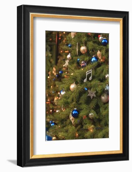 Christmas tree decorations-Stuart Westmorland-Framed Photographic Print