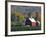 Christmas Tree Farm near Springfield in Autumn, Vermont, USA-Julie Eggers-Framed Photographic Print