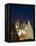 Christmas Tree, Gothic Tyn Church and Statue of Jan Hus, Old Town Square, Stare Mesto, Prague-Richard Nebesky-Framed Premier Image Canvas