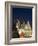 Christmas Tree, Gothic Tyn Church and Statue of Jan Hus, Old Town Square, Stare Mesto, Prague-Richard Nebesky-Framed Photographic Print