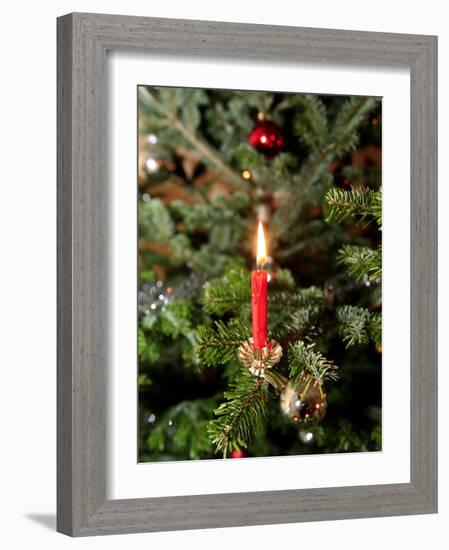 Christmas Tree, Haute Savoie, France, Europe-Godong-Framed Photographic Print