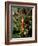 Christmas Tree, Haute Savoie, France, Europe-Godong-Framed Photographic Print