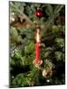 Christmas Tree, Haute Savoie, France, Europe-Godong-Mounted Photographic Print