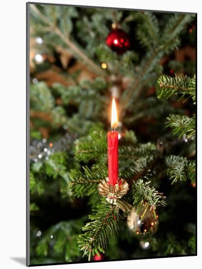 Christmas Tree, Haute Savoie, France, Europe-Godong-Mounted Photographic Print