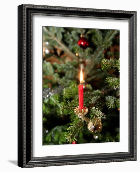 Christmas Tree, Haute Savoie, France, Europe-Godong-Framed Photographic Print