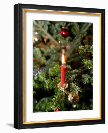 Christmas Tree, Haute Savoie, France, Europe-Godong-Framed Photographic Print