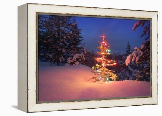 Christmas Tree in Snow with Lights-null-Framed Premier Image Canvas