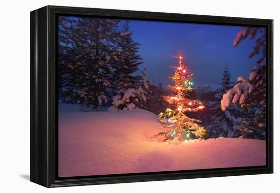 Christmas Tree in Snow with Lights-null-Framed Premier Image Canvas
