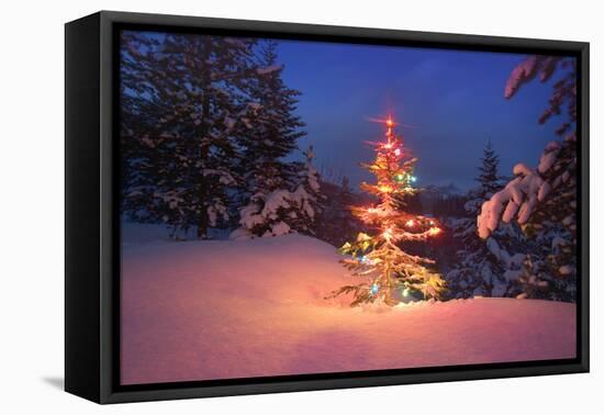 Christmas Tree in Snow with Lights-null-Framed Premier Image Canvas