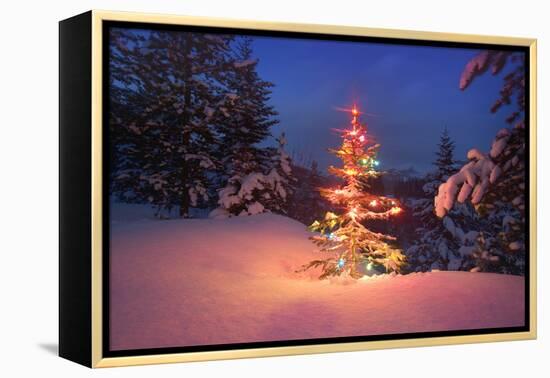 Christmas Tree in Snow with Lights-null-Framed Premier Image Canvas