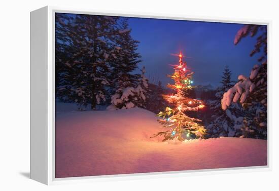 Christmas Tree in Snow with Lights-null-Framed Premier Image Canvas