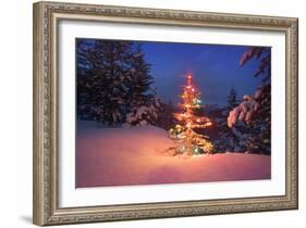 Christmas Tree in Snow with Lights-null-Framed Photographic Print