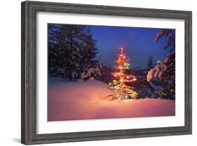 Christmas Tree in Snow with Lights-null-Framed Photographic Print