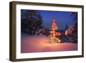 Christmas Tree in Snow with Lights-null-Framed Photographic Print