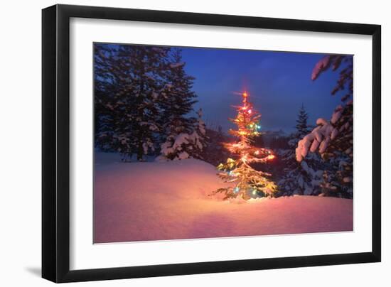 Christmas Tree in Snow with Lights-null-Framed Photographic Print