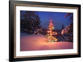 Christmas Tree in Snow with Lights-null-Framed Photographic Print